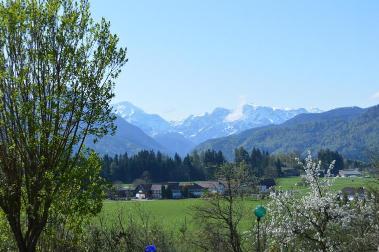 Pension Schindlau Scharnstein Extérieur photo
